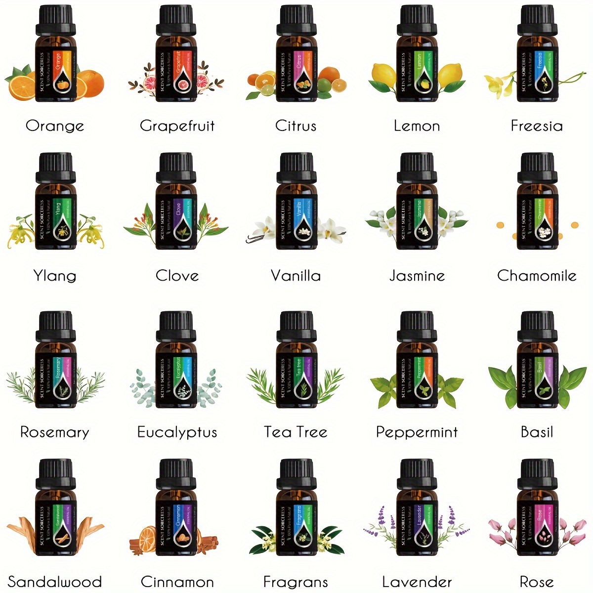 20 pçs/set conjunto de óleo es - Spa Y Wellness avaliação e preço